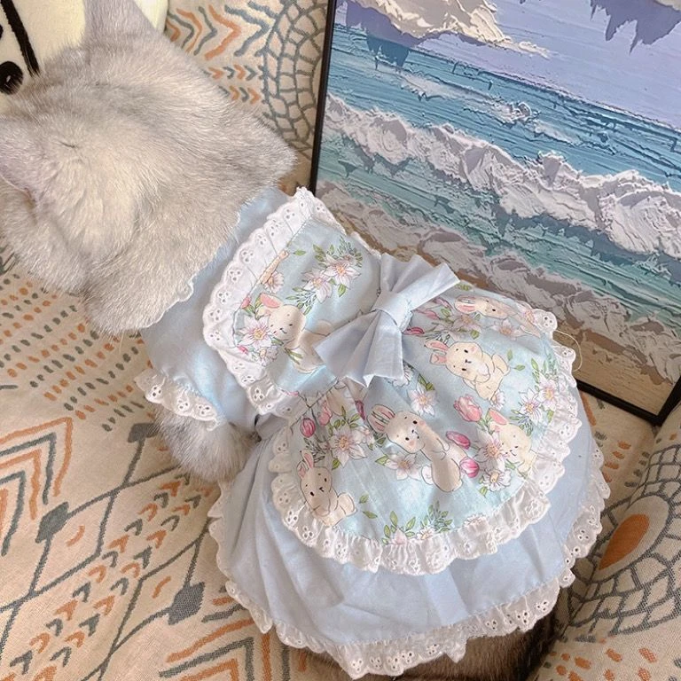 Pet Cute Apron Dress Lace Flor - Lace Teddy Lingerie recension och pris